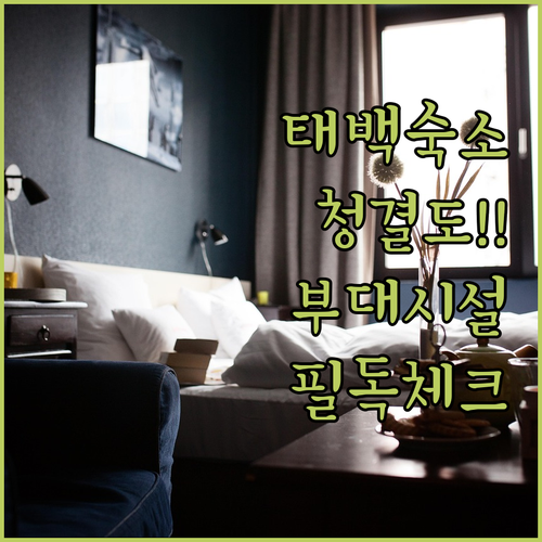 태백 여행 숙소 예약 전 확인해야 할..