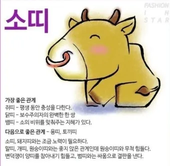 소띠 돼지띠 결혼 띠궁합으로 보는 사랑과 궁합 이야기_22