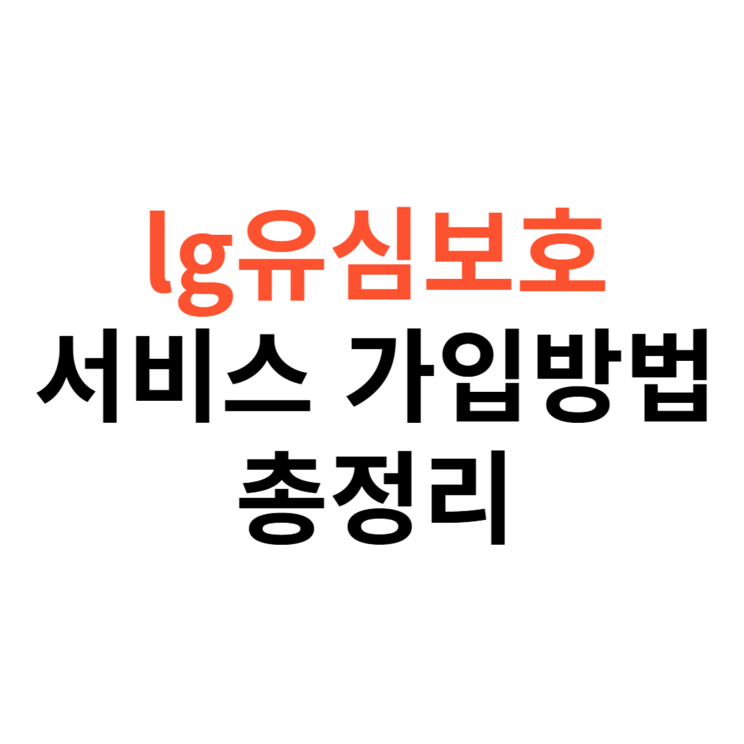 LG 유플러스 유심보호서비스