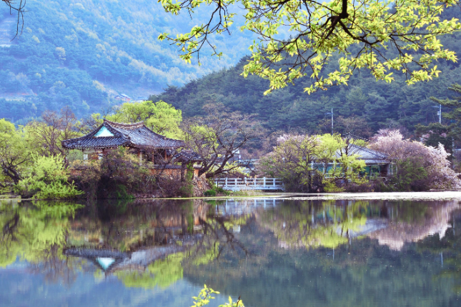 밀양 영남루와 위양지, 한국 전통 건축의 아름다움