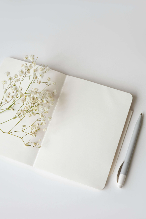 알콜성지방간 식단 가이드