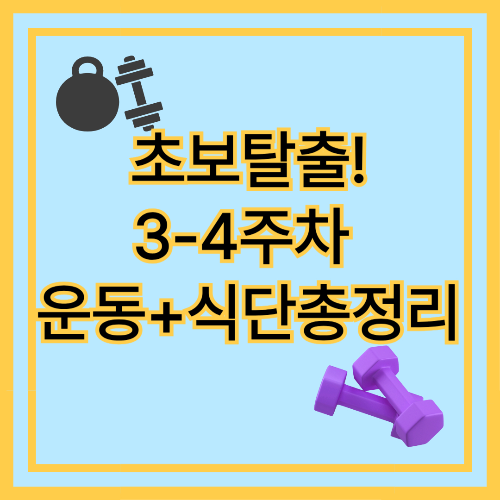 헬스초보 3~4주차 루틴과 식단 팁 총정리! 이 시기부터가 진짜 시작입니다