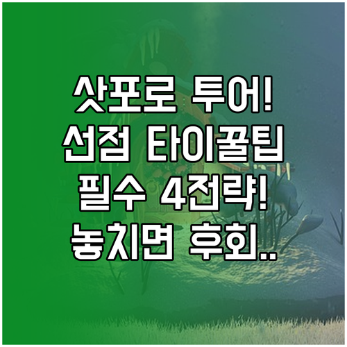 겨울 왕국 삿포로 투어 선점 위한 예..