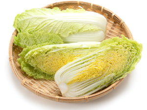 배추