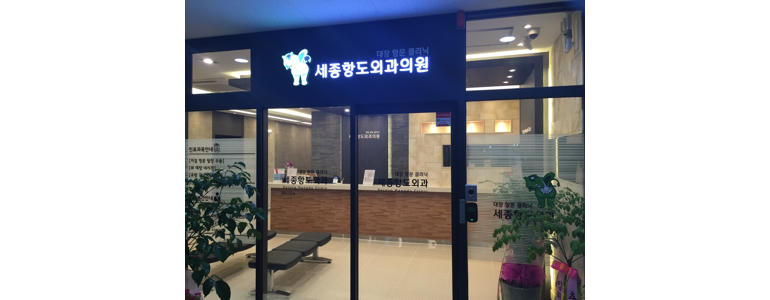 세종시 항문외과