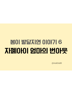 자폐아이엄마번아웃
