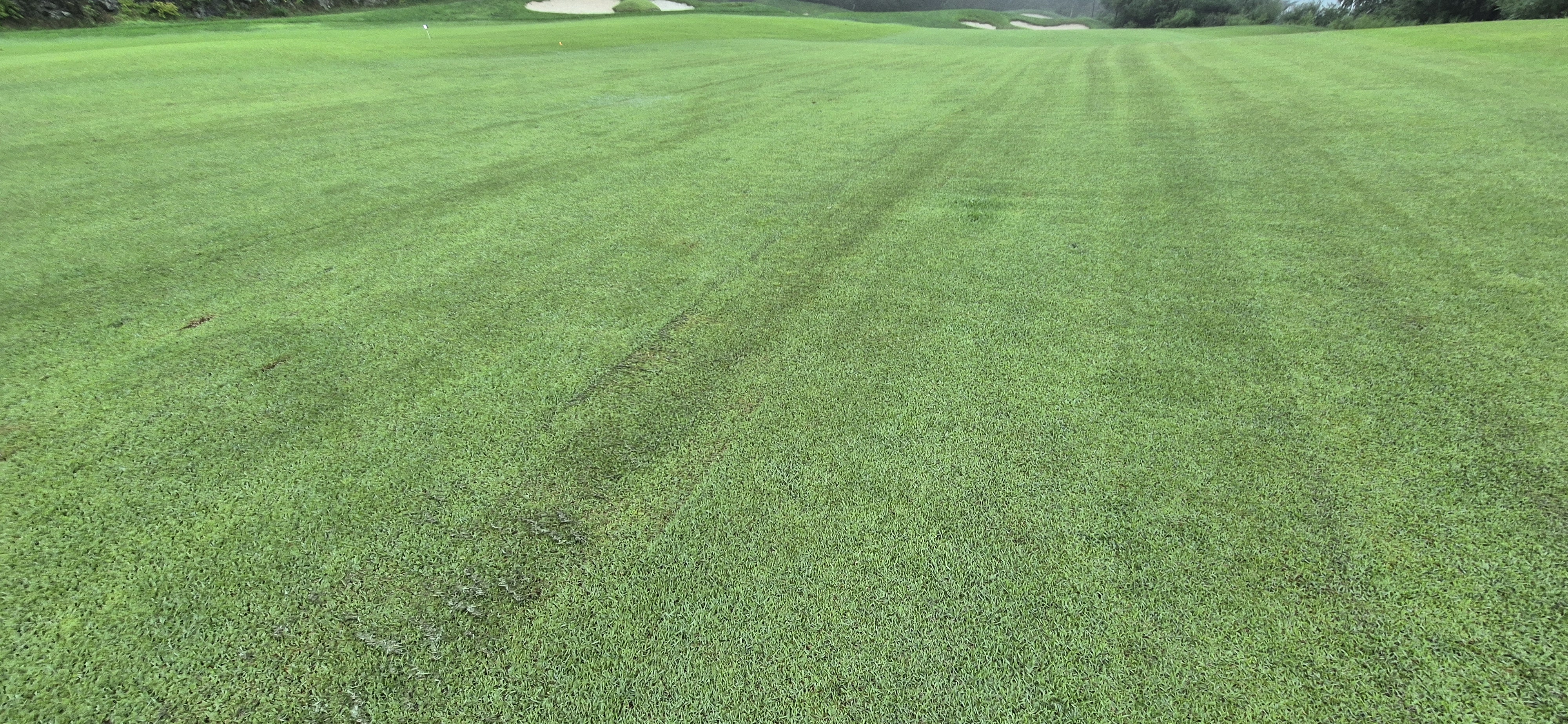 더플레이어스cc