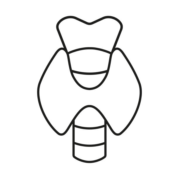 갑상선기능저하증 증상