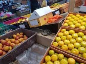 농할상품권 사용처 구매방법 할인 2024