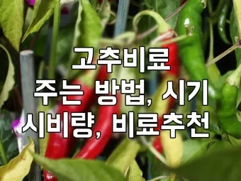 비료 주는 시기 기비 추비 요소 인산 가리 엽면시비_3