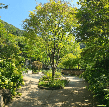 화담숲 예약 (ft. 할인 정보)