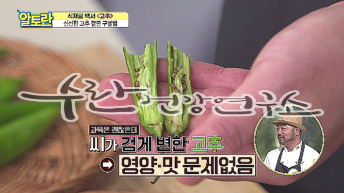 고추씨 활용법