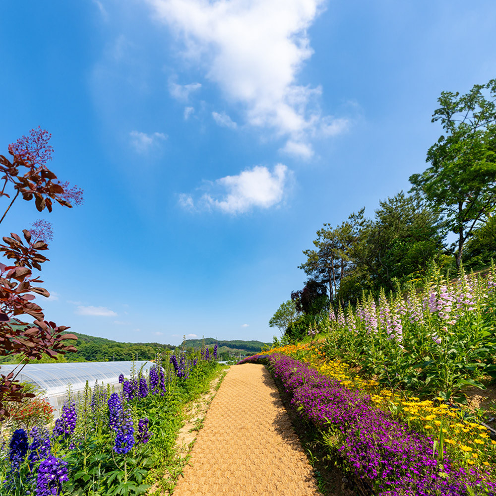 아름다운정원 화수목