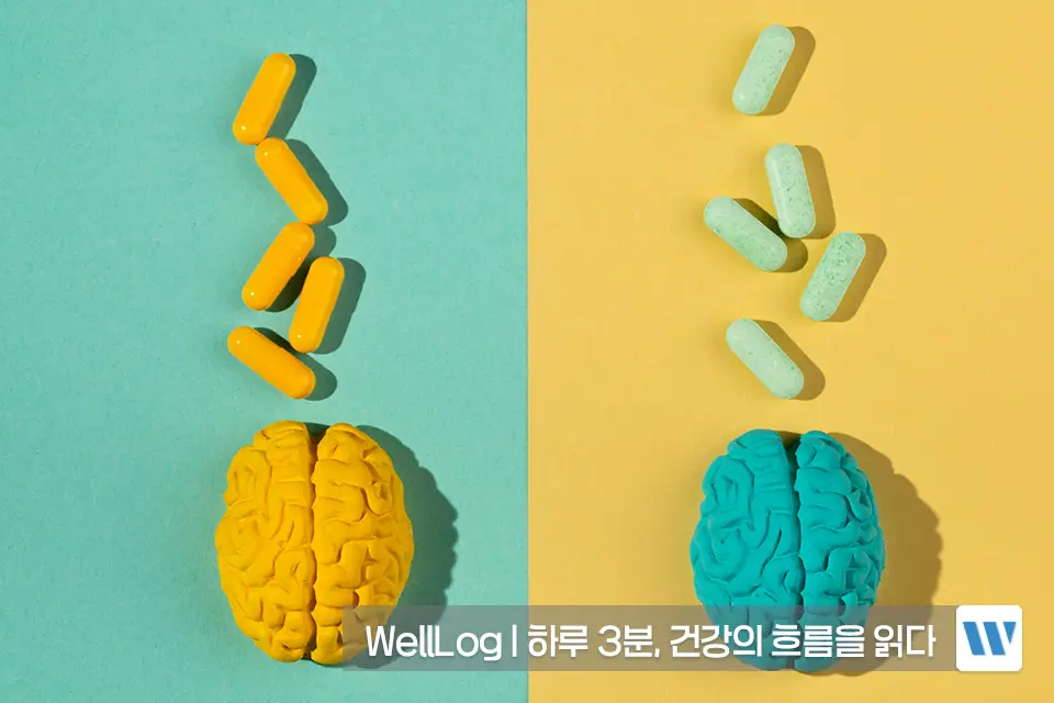 포스파티딜세린 효능 복용법 기억력 관리