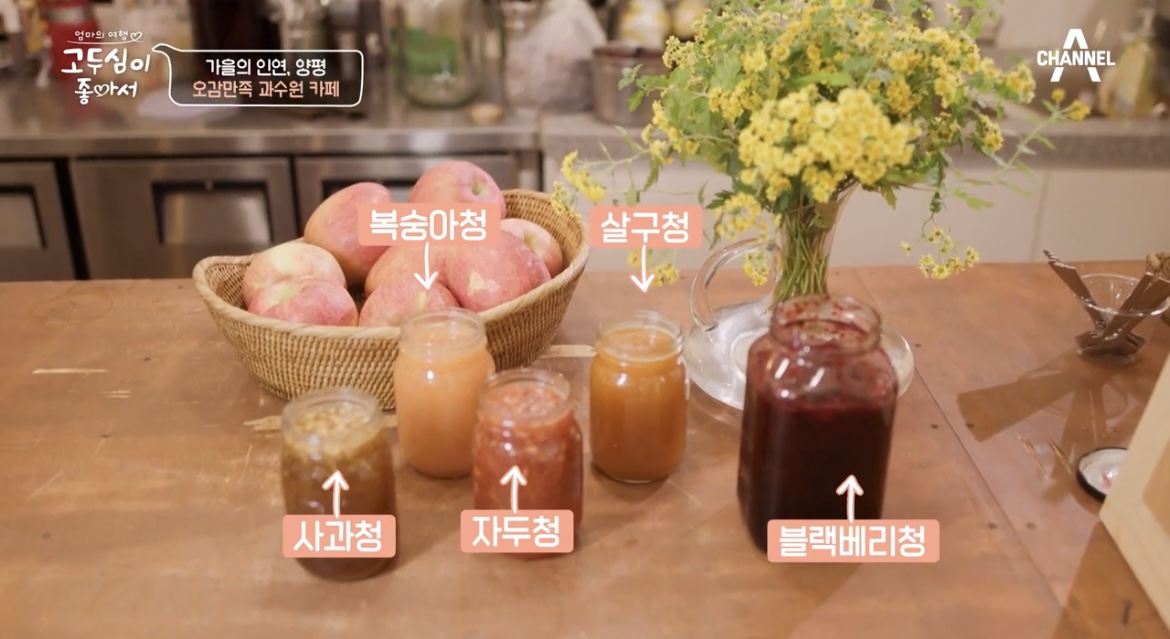 고두심이좋아서-양평-과수원-카페