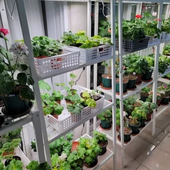 타이머 세팅 자동점등 소등루틴 식물등사용 습관 만들기 편리한 관리_15