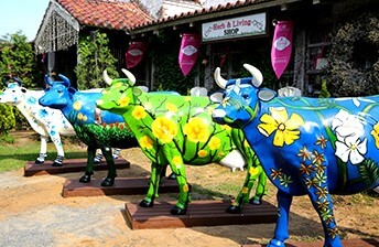 청도 프로방스 빛축제에서는 산타마을 빛축제도 함께 열립니다.