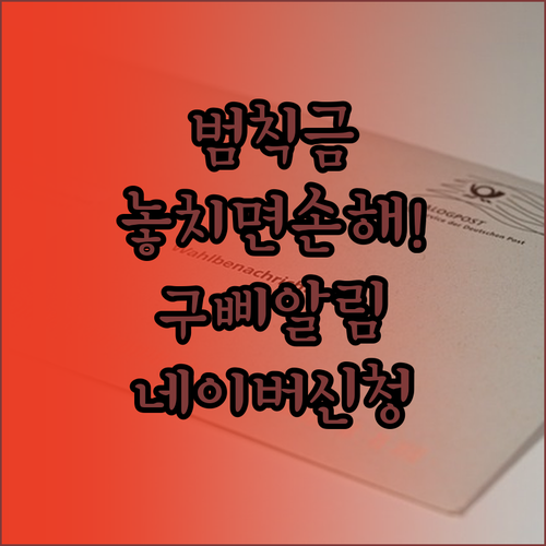 교통 범칙금 및 건강검진 알림 국민비..