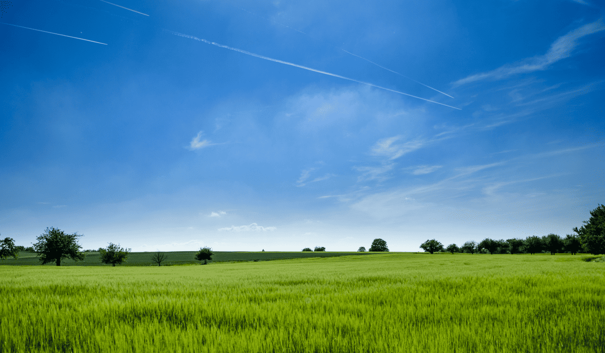 지적도_무료열람_3