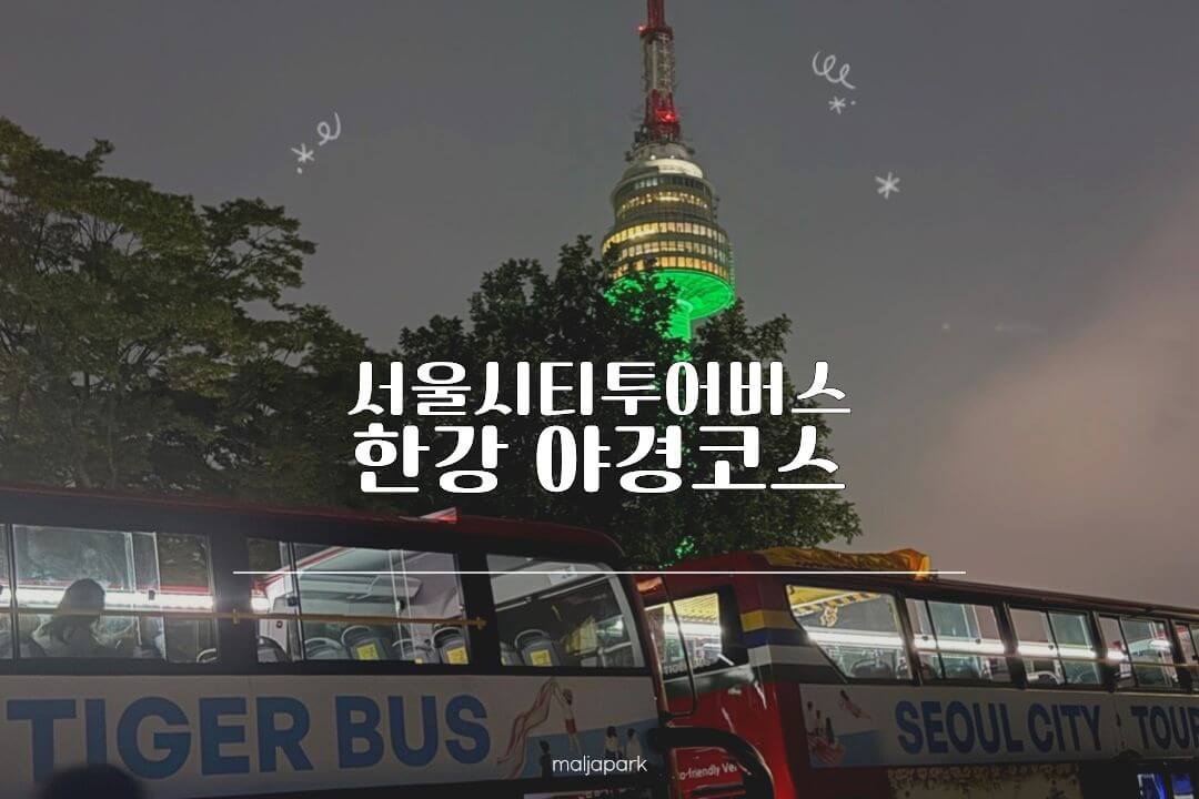 서울시티투어버스 타이거버스 한강야경코스 탑승 후기