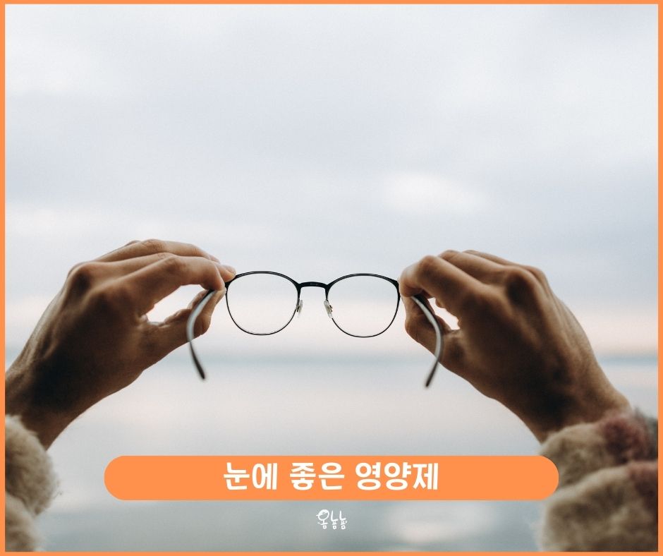 눈에 좋은 영양제