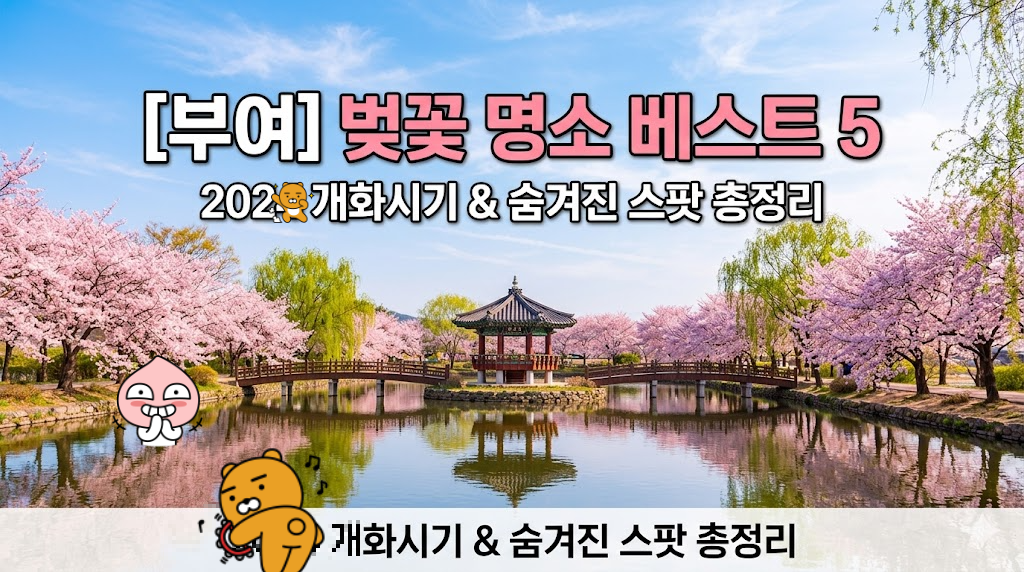 부여 벚꽃 명소