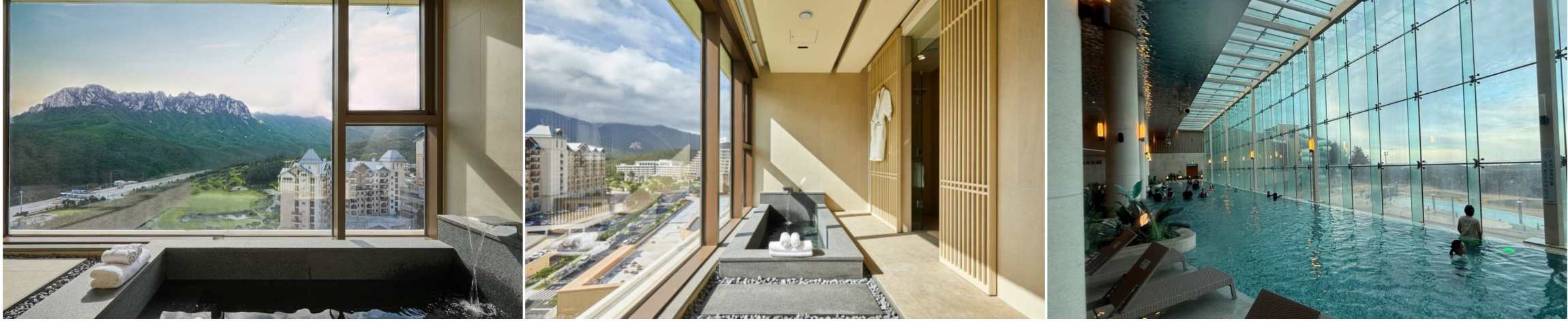 소노펠리체 델피노