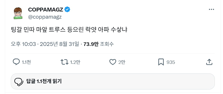 인도네시아 젊은이들이 정부 검열을 피하고 이를 알아볼 수 있는 세대와 유대하기 위해 이들은 일종의 ‘한글 시위’를 벌였다.