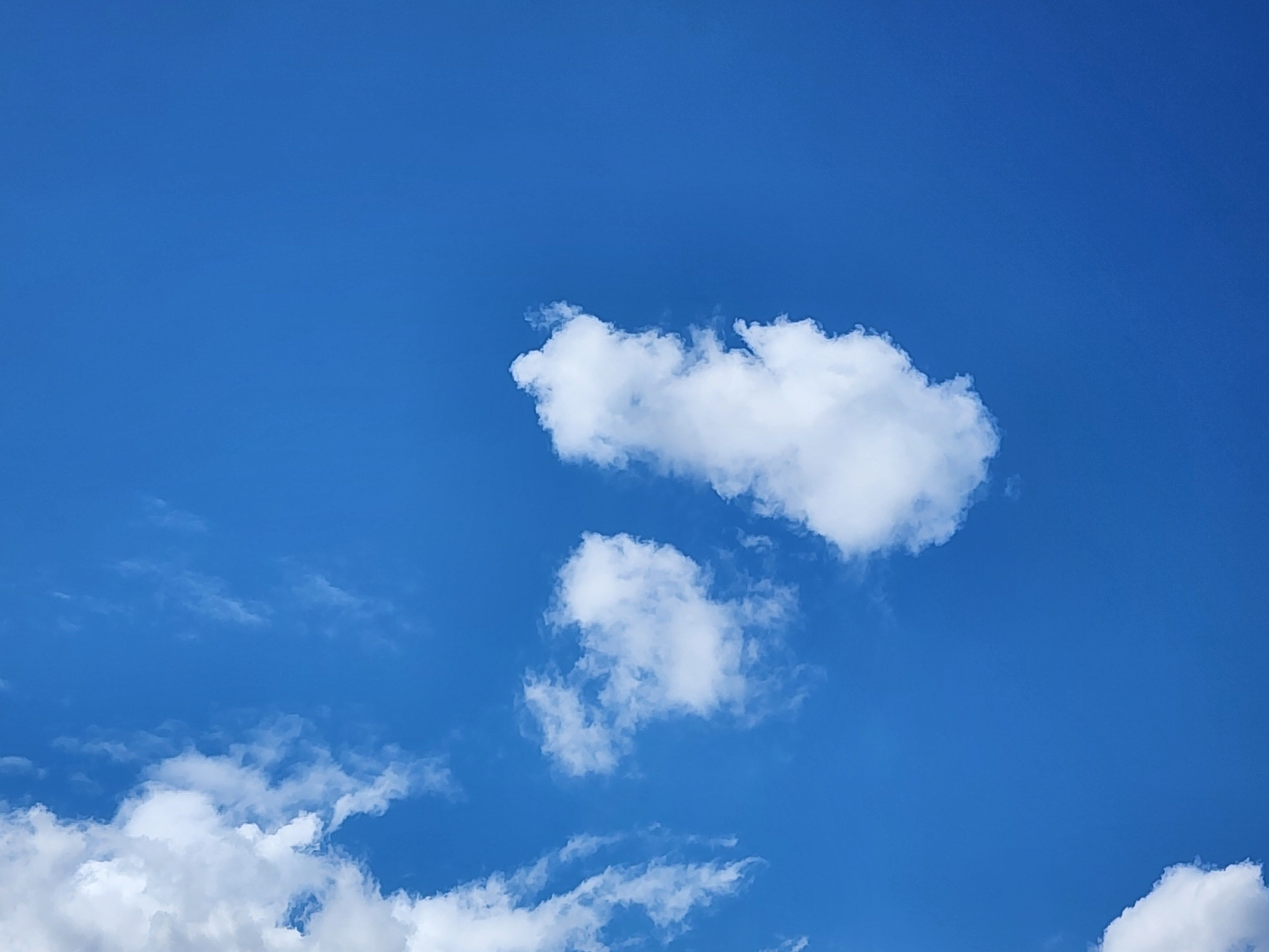 Alt 속성 문제 해결 설명 이미지