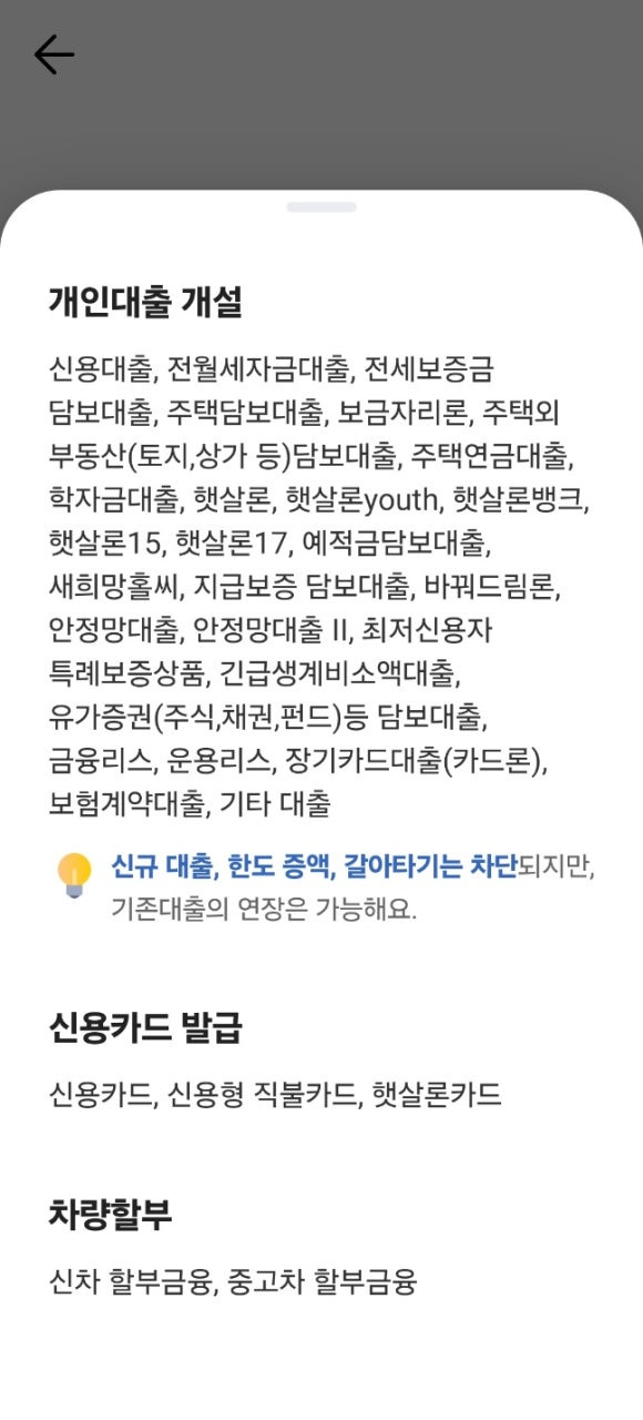 개인대출 잠금