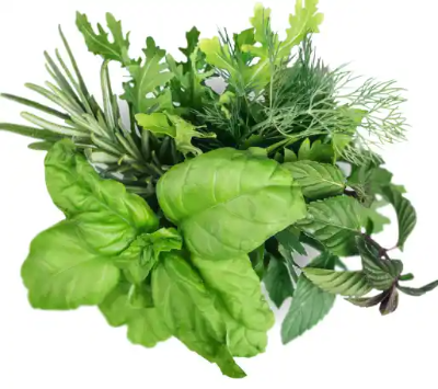 여성 갱년기에 좋은 식품