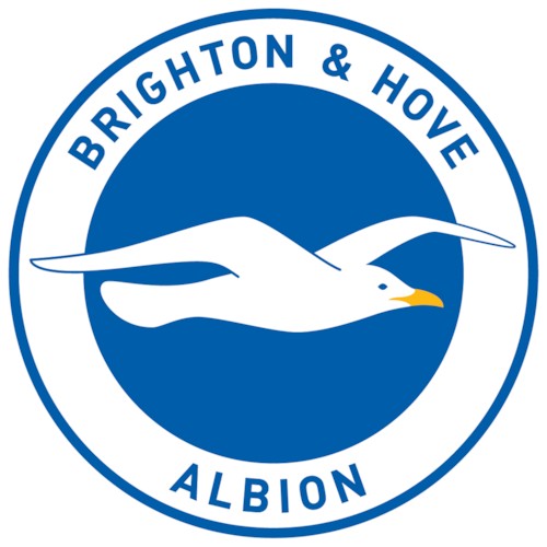 브라이튼&amp;호브 알비온 FC 팀 로고
