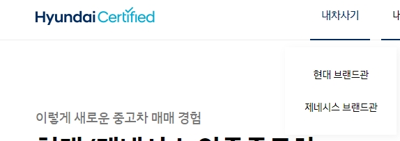 아반떼 차량 모델 검색 및 매물 수량 확인