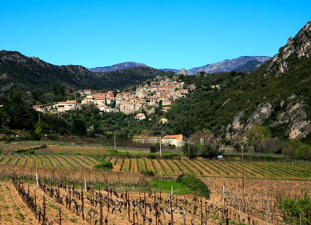 [콜키지 뜻] 콜키지프리 뜻&amp;#44; 와인콜키지 뜻&amp;#44; 페어링 뜻&amp;#44; 와인 페어링이란? 블루투스 페어링이란?