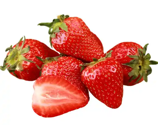 유방암에 좋은 음식 피해야 할 나쁜 음식