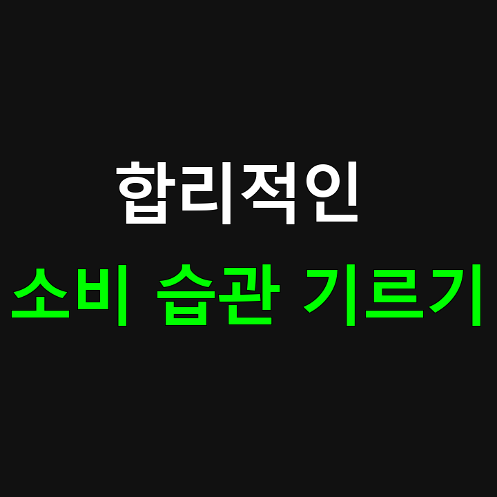 합리적 소비 습관 만들기