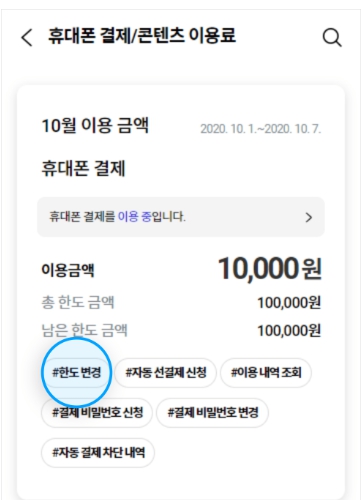 소액결제 사용내역확인