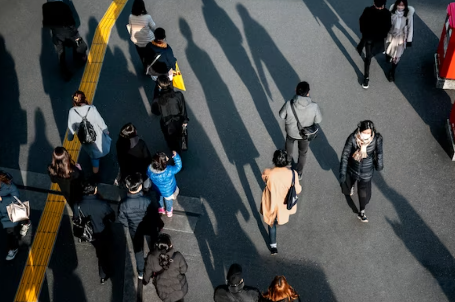 연두색 번호판 법인차