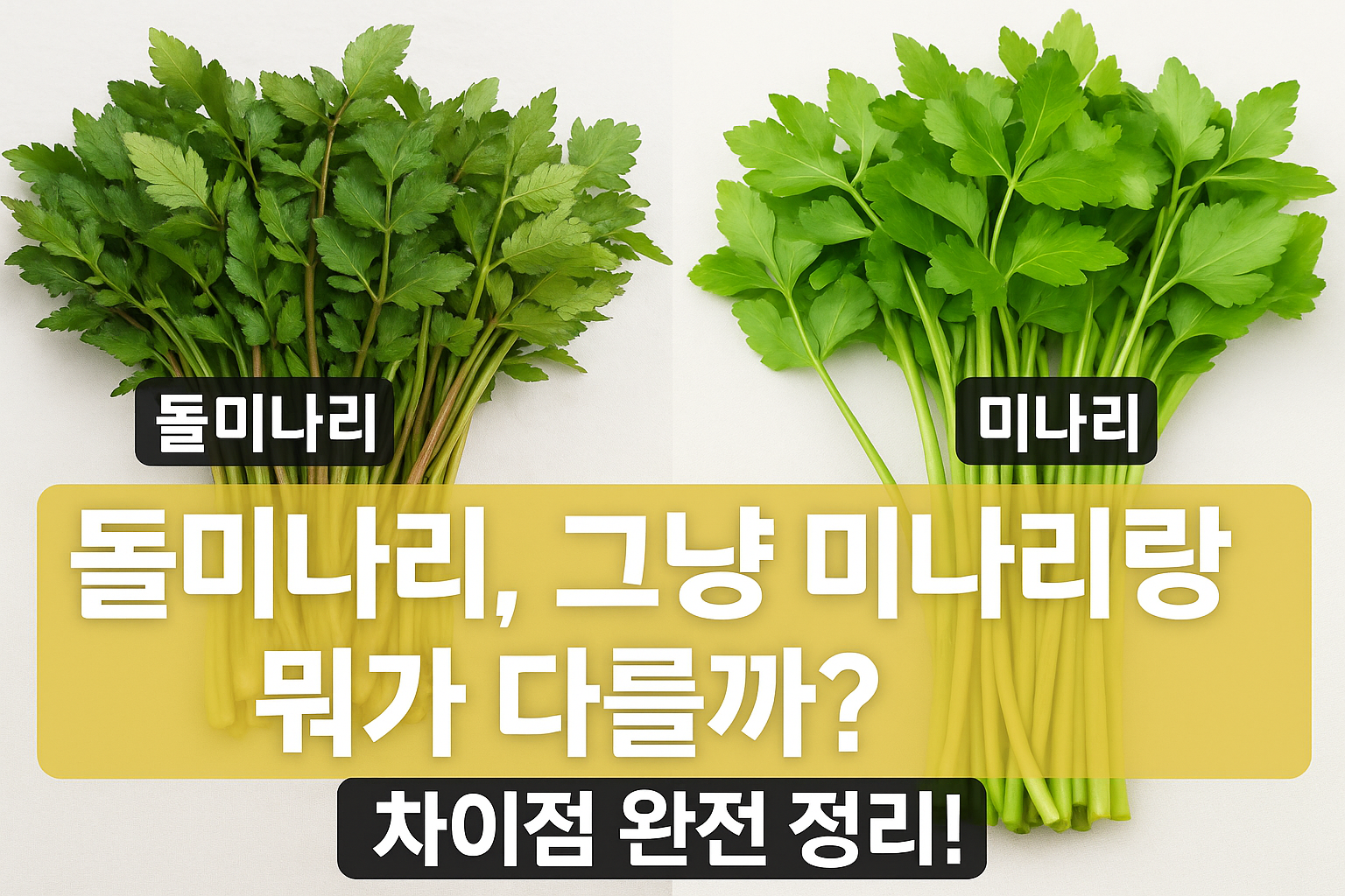 돌미나리, 그냥 미나리랑 뭐가 다를까? 차이점 완전 정리