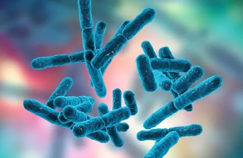 50대 남자 영양제 추천