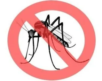 모기 박사님 추천 모기 퇴치법과 여름철 모기 없는 집 만들기 실전 전략_17