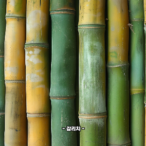 대나무 죽순 효능