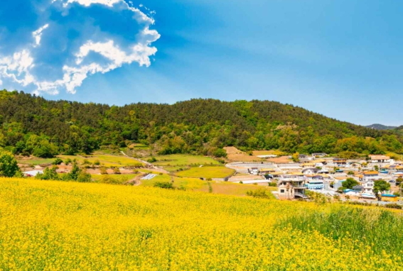 선학동 마을