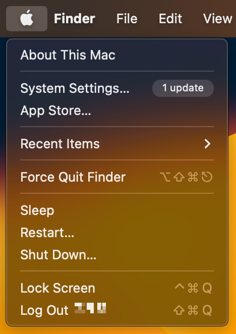 시스템 설정(System Settings...)