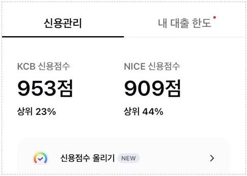 신용등급 점수표 무료조회 서비스
