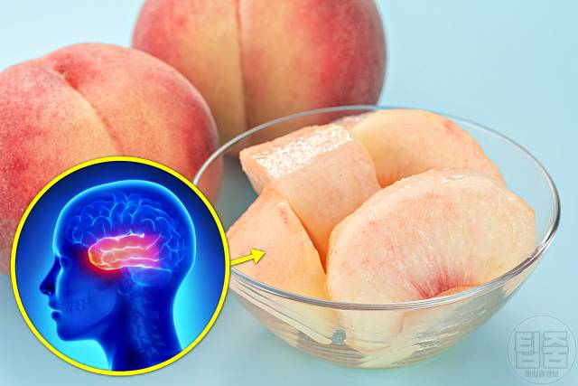 치매에 좋은 음식 치매예방음식 플라바놀 함량 높은 복숭아