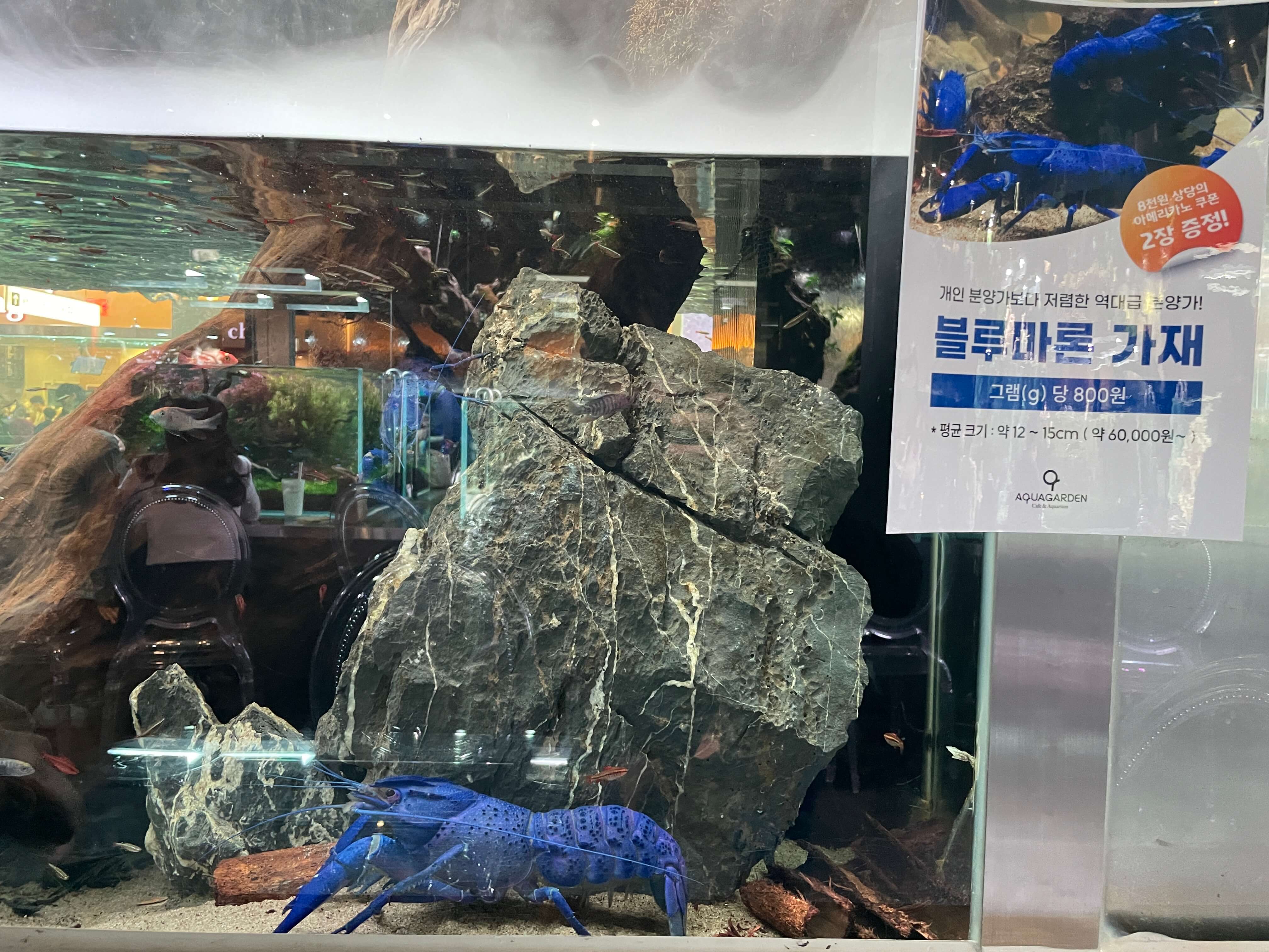 잠심-아쿠아가든