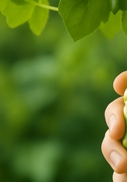 여주 효능 여주 먹는방법