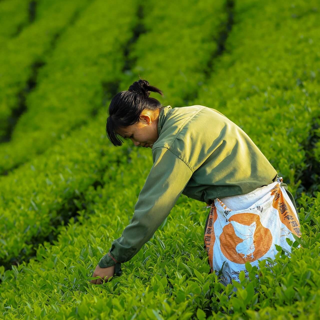 근로장려금 환수문자 받음 — 진짜 대응법