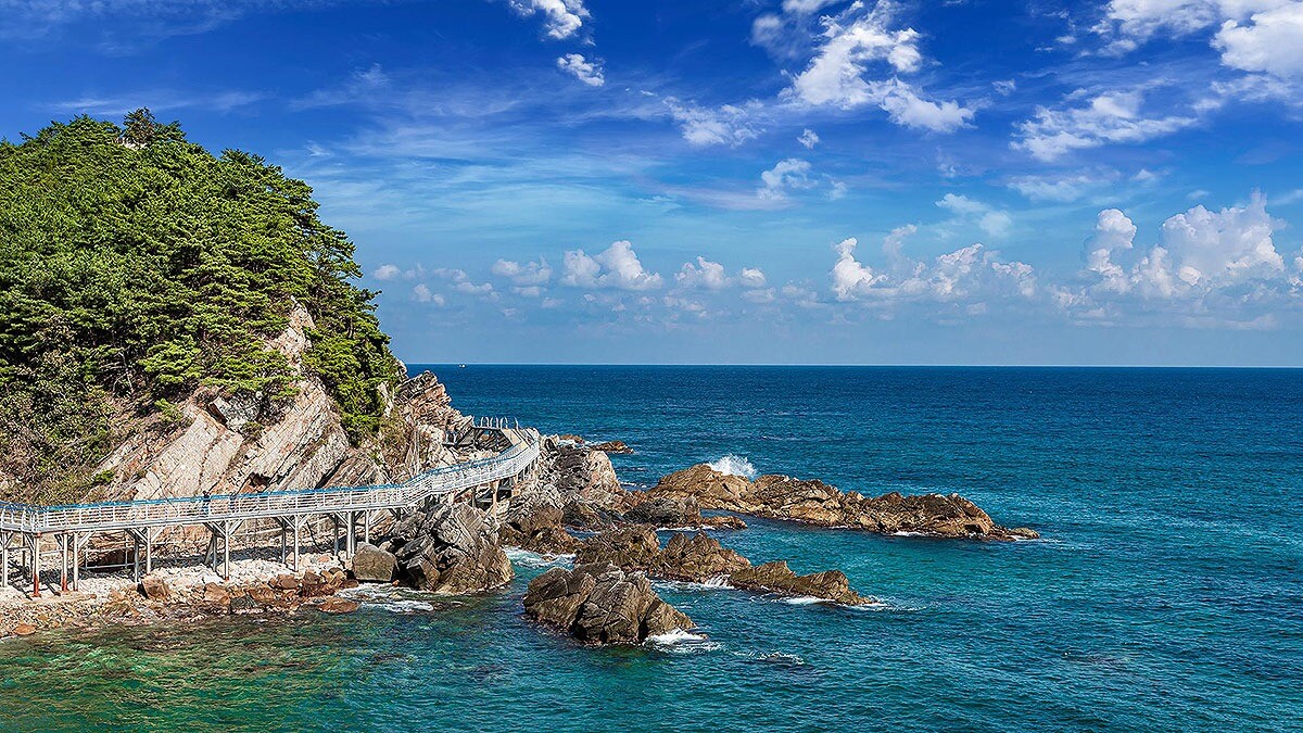 정동심곡 바다부채길 여행 정보